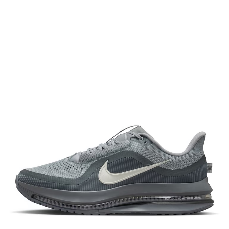 Nike Pegasus Premium 41 Gris – vue 1