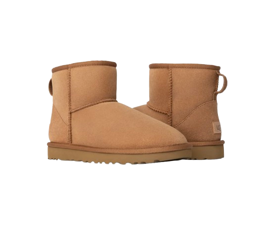 UGG Botte Classic Mini II Marron – vue 2